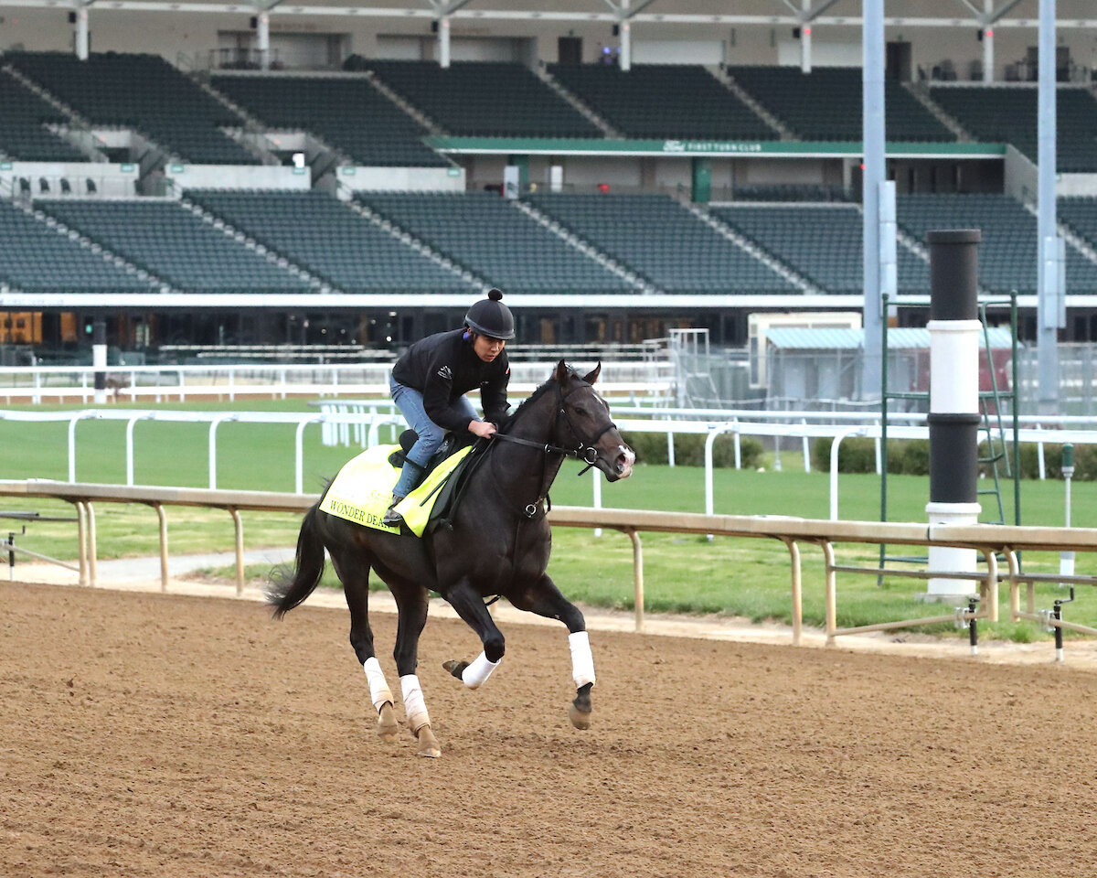 チャーチルダウンズ競馬場で調整するワンダーディーン（C）COADY MEDIA