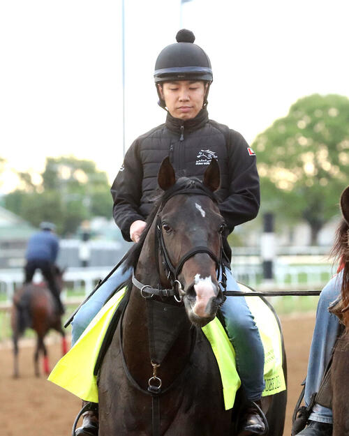 チャーチルダウンズ競馬場で調整するワンダーディーン（C）COADY MEDIA
