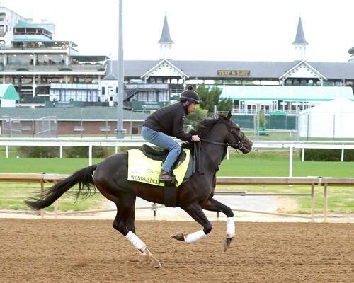 チャーチルダウンズ競馬場で調整するワンダーディーン（C）COADY MEDIA