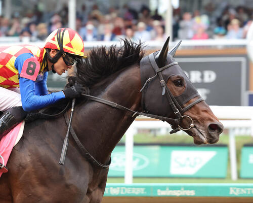 チャーチルダウンズSを制したテーオーエルビス（C）COADY　MEDIA