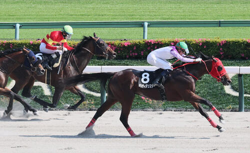 16日土曜東京9R立川特別を制したディー騎手