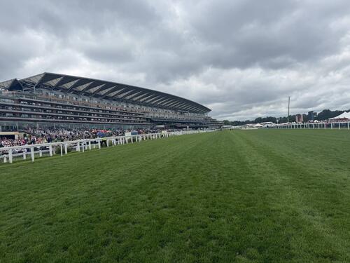 アスコット競馬場の芝コース