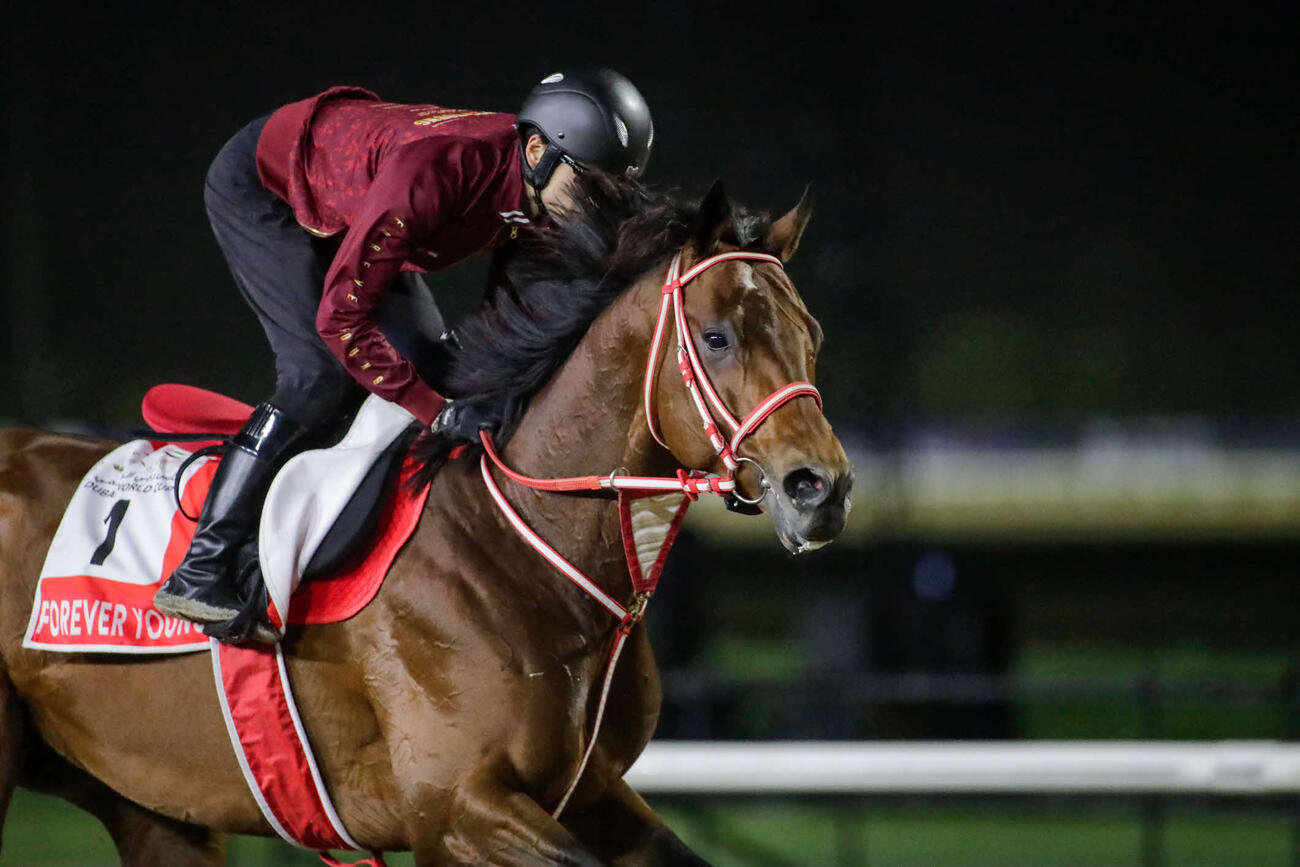 フォーエバーヤングと坂井瑠星騎手（（C）Dubai Racing Club／Liesl King）