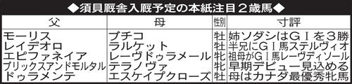 須貝厩舎入厩予定の本紙注目２歳馬