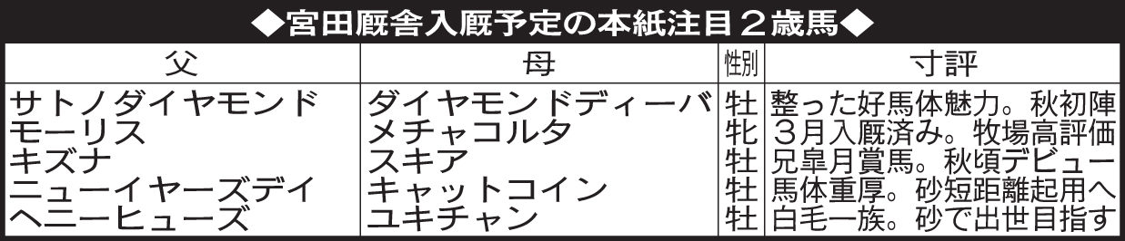 宮田厩舎入厩予定の本紙注目2歳馬