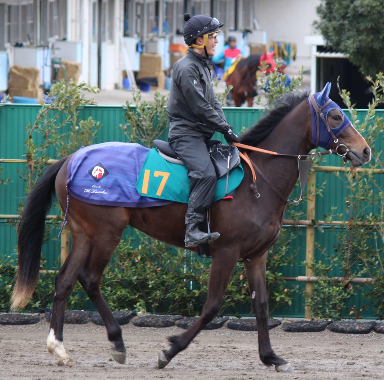 田中博厩舎のスプレッドシャイン