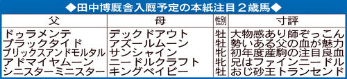 田中博厩舎入厩予定の日刊スポーツ注目2歳馬