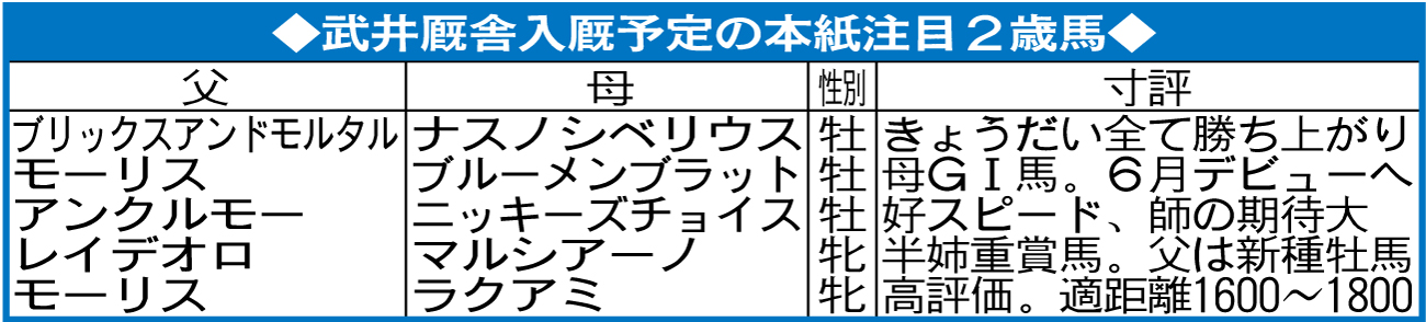 武井厩舎入厩予定の日刊スポーツ注目2歳馬
