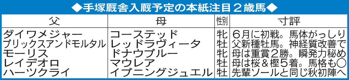 手塚厩舎入厩予定の日刊スポーツ注目2歳馬