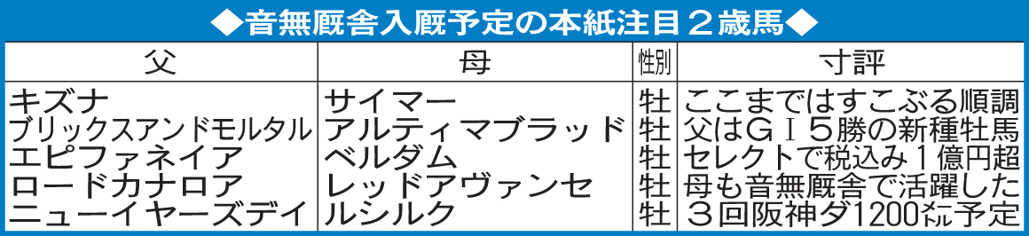 音無厩舎入厩予定の日刊スポーツ注目2歳馬