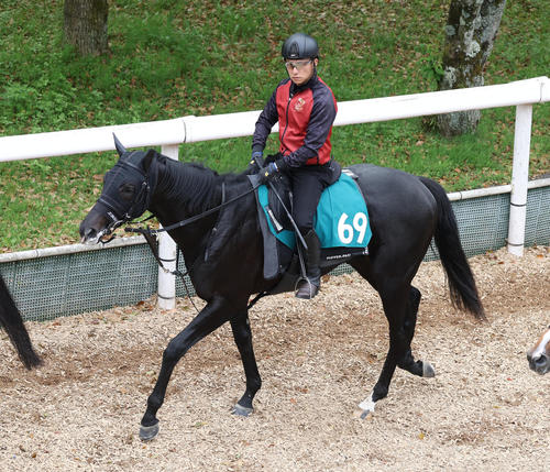 逍遥馬道で運動するアスクセクシーモア(撮影・白石智彦)