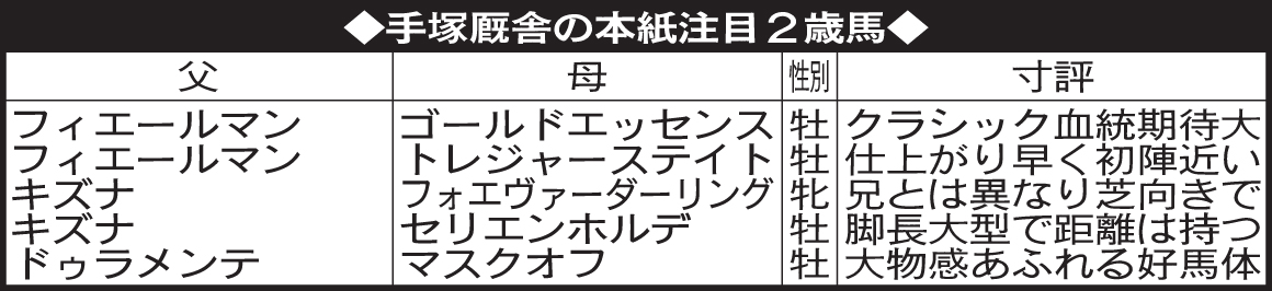 手塚厩舎の本紙注目2歳馬