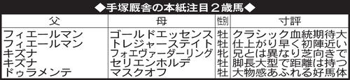 手塚厩舎の本紙注目2歳馬