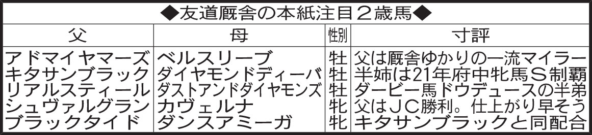 友道厩舎の本紙注目２歳馬