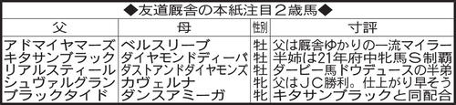友道厩舎の本紙注目２歳馬