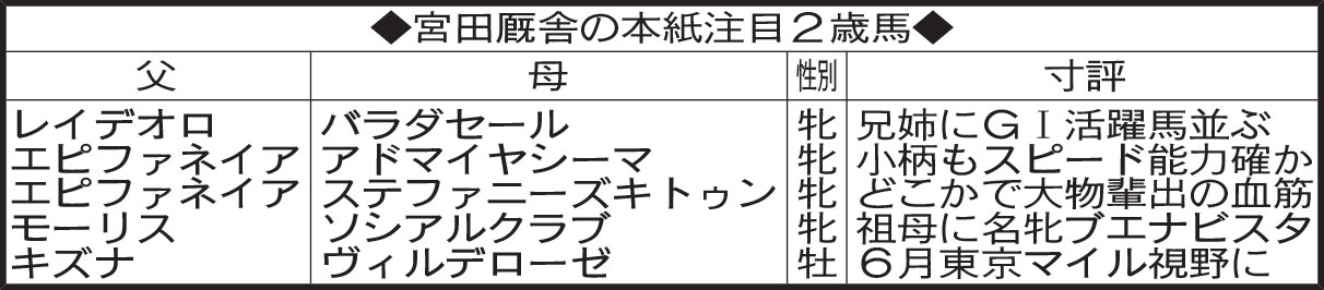 宮田厩舎の本紙注目２歳馬