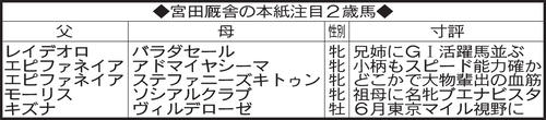 宮田厩舎の本紙注目２歳馬