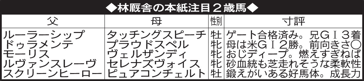 林厩舎の本紙注目２歳馬