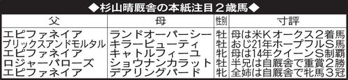 杉山晴厩舎の本紙注目２歳馬