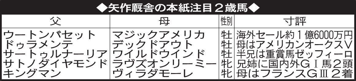 矢作厩舎の本紙注目2歳馬