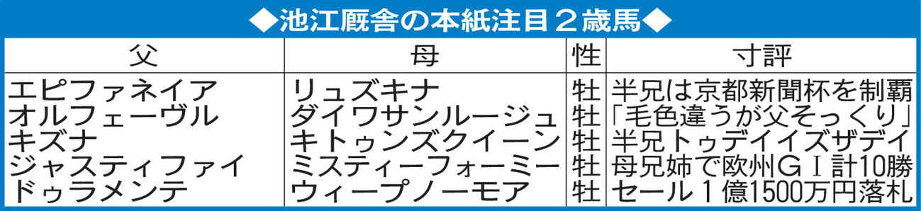 池江厩舎の本紙注目２歳馬
