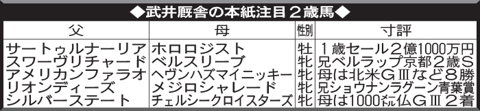 武井厩舎の本紙注目2歳馬