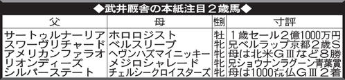 武井厩舎の本紙注目2歳馬