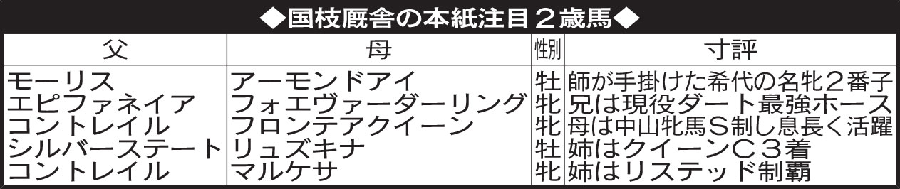 国枝厩舎の本紙注目2歳馬