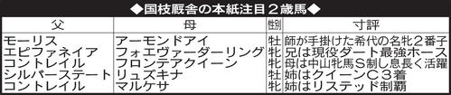国枝厩舎の本紙注目2歳馬
