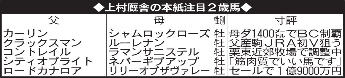 上村厩舎の本紙注目2歳馬