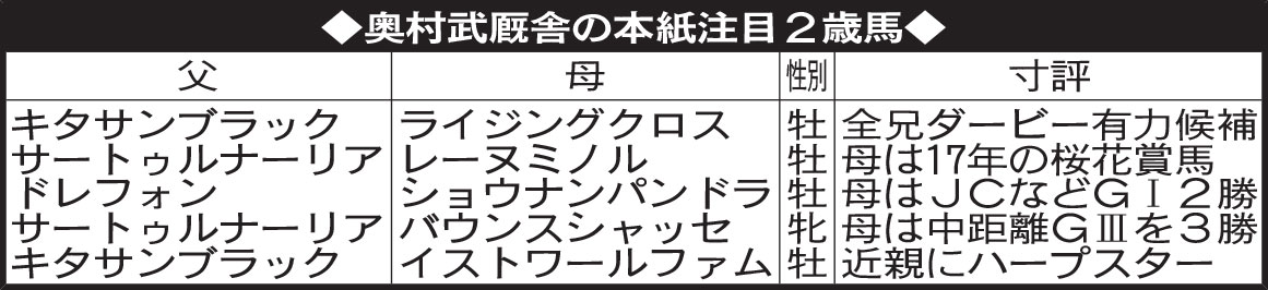 奥村武厩舎の本紙注目２歳馬
