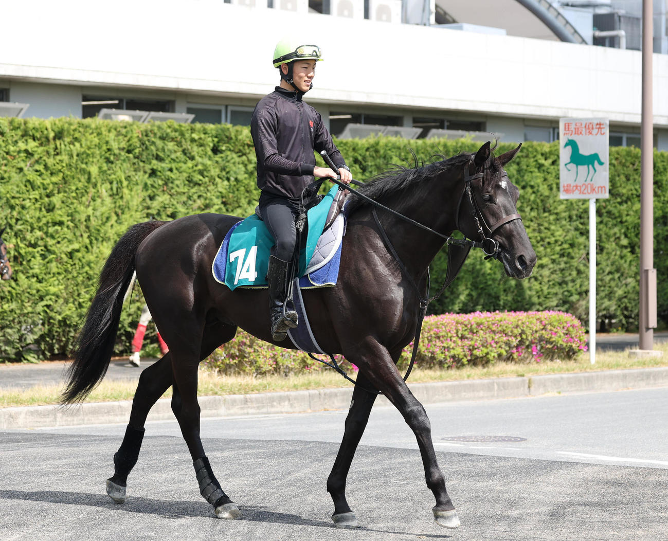 G1・4勝クロノジェネシスの子ベレシート