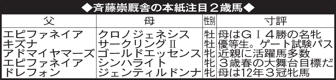 斉藤崇厩舎の本紙注目２歳馬