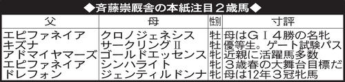 斉藤崇厩舎の本紙注目2歳馬