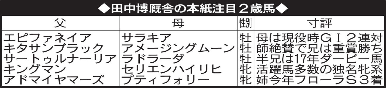 田中博厩舎の本紙注目２歳馬