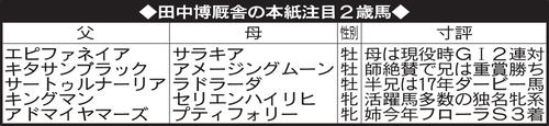 田中博厩舎の本紙注目２歳馬