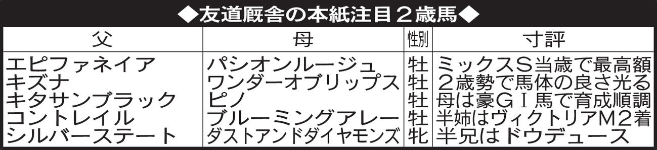友道厩舎の本紙注目2歳馬