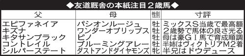 友道厩舎の本紙注目2歳馬