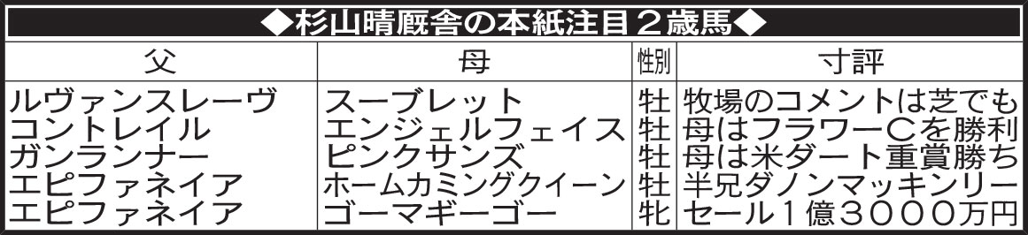杉山晴厩舎の本紙注目２歳馬