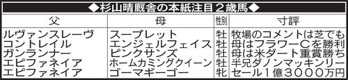 杉山晴厩舎の本紙注目2歳馬