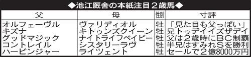 池江厩舎の本紙注目2歳馬