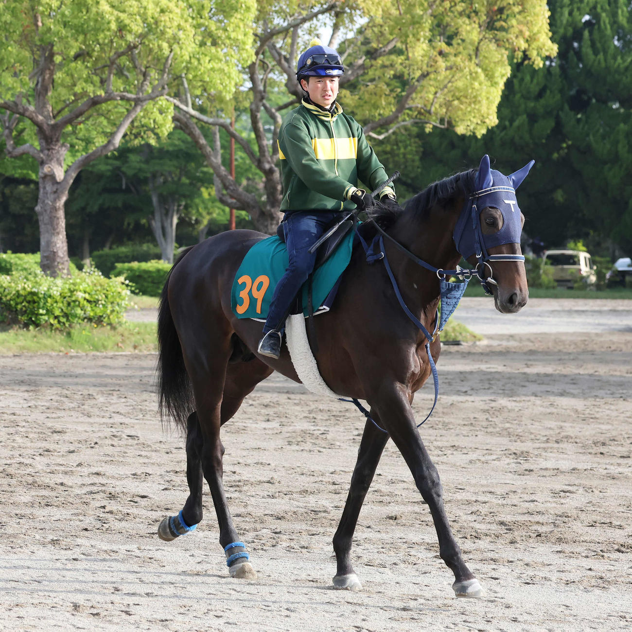 14日、武藤雅騎手を背に馬場へ向かう手塚厩舎の2歳新馬アウダーシア