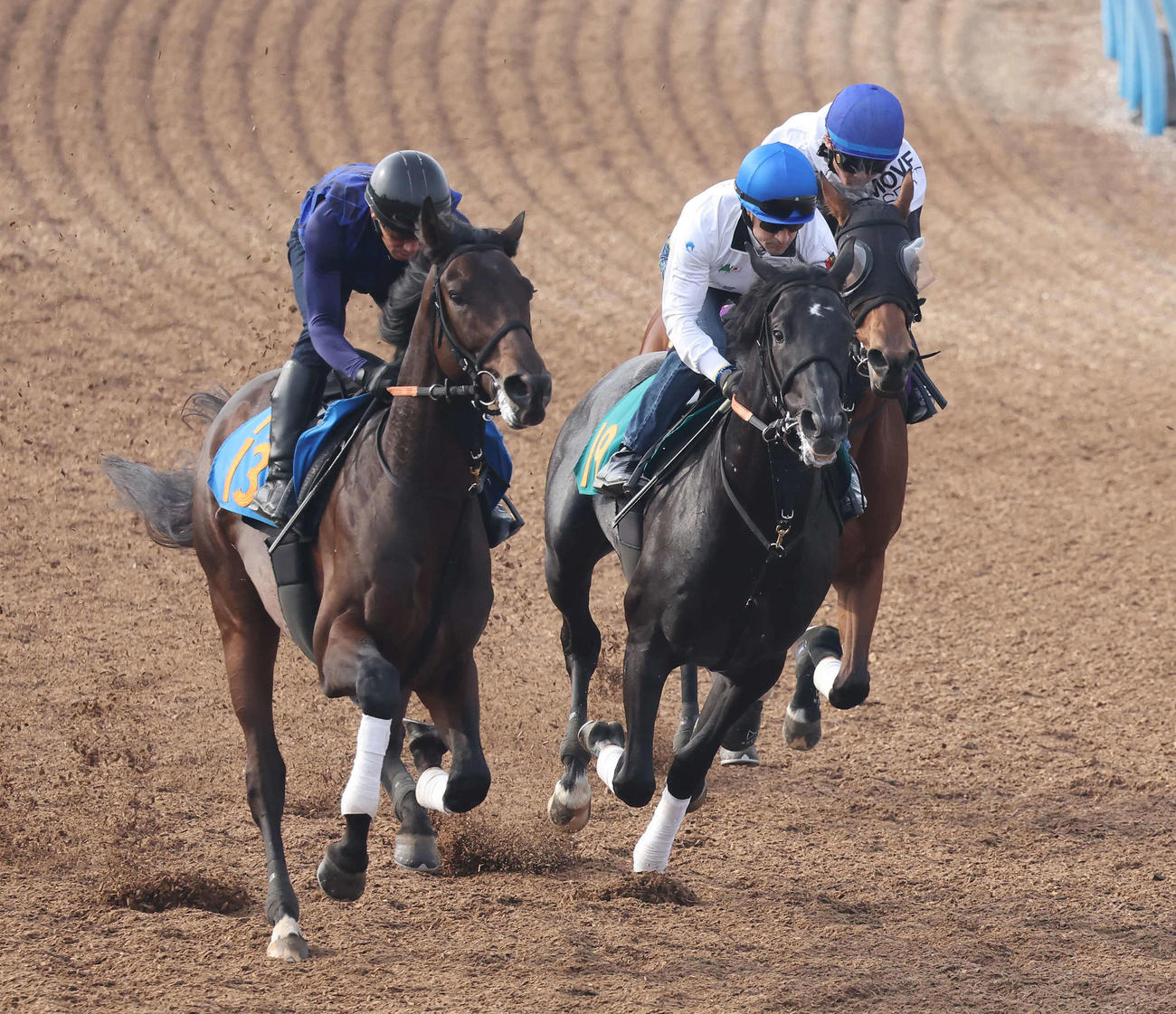 宮田厩舎のゾロアストロ（中央）はルメール騎手を背に美浦ウッドでブレイディヴェーグ（右）らと併せて追い切られた（撮影・丹羽敏通）