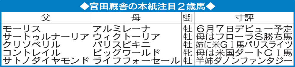 宮田厩舎の本紙注目2歳馬