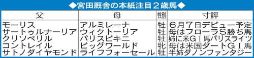 宮田厩舎の本紙注目2歳馬