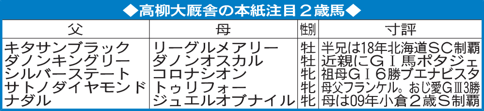 高柳大厩舎の本紙注目2歳馬