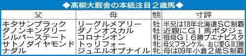高柳大厩舎の本紙注目2歳馬