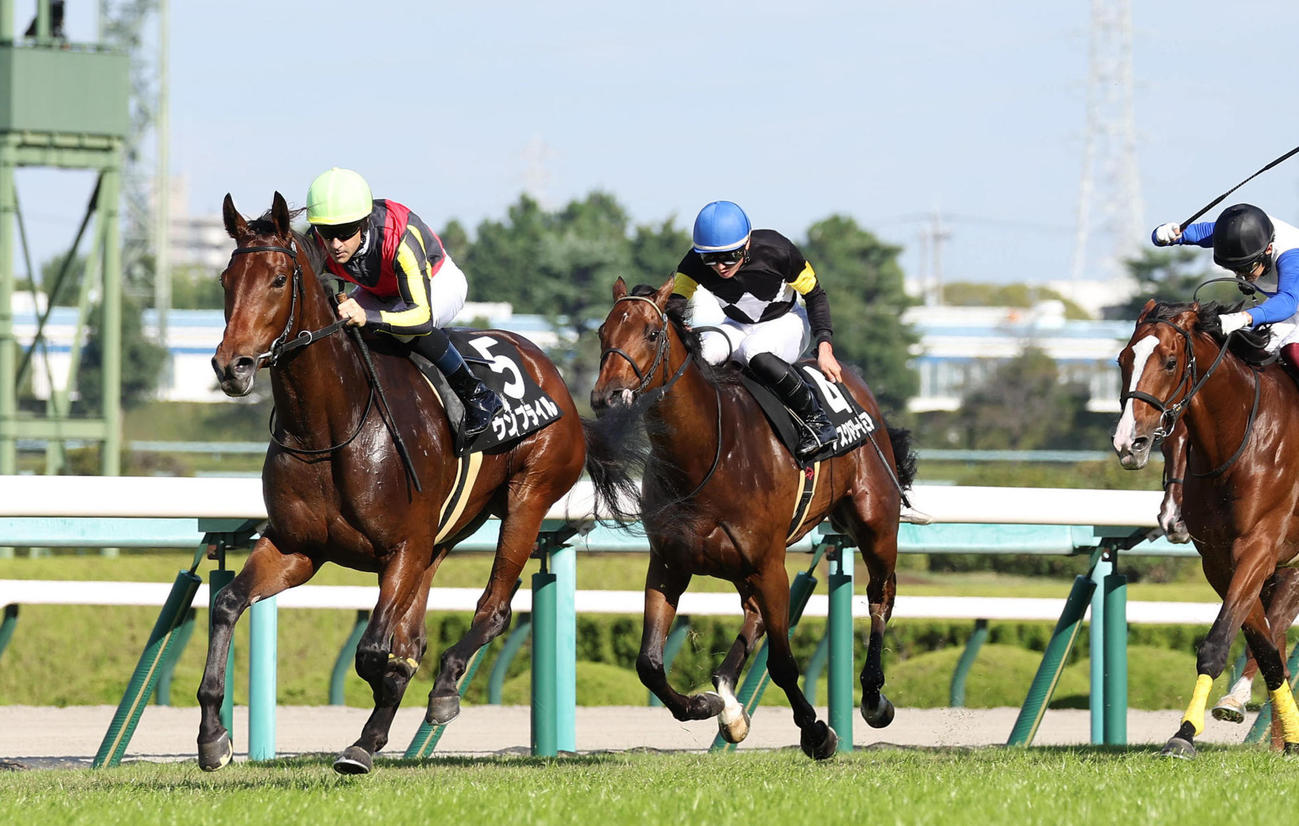 16日、もみじSを制したウンブライル（左）