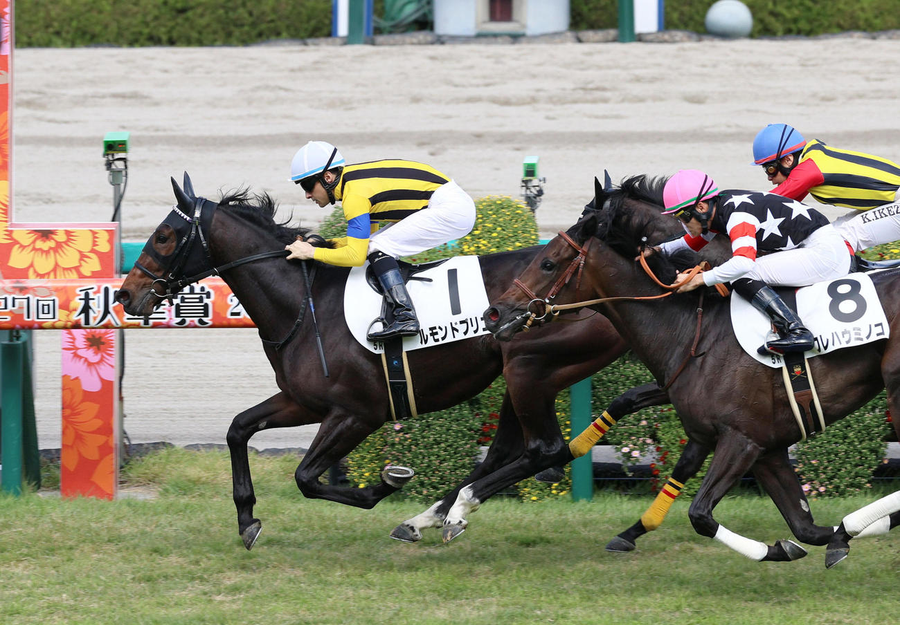 16日、新馬戦を制したルモンドブリエとルメール騎手
