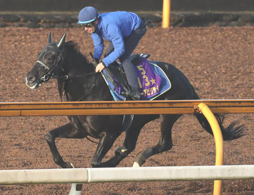C・デムーロ騎手を背に追い切るキラーアビリティ